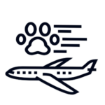 International Relocation